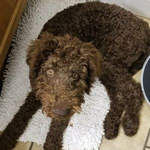 Meet your Posher, Kathy